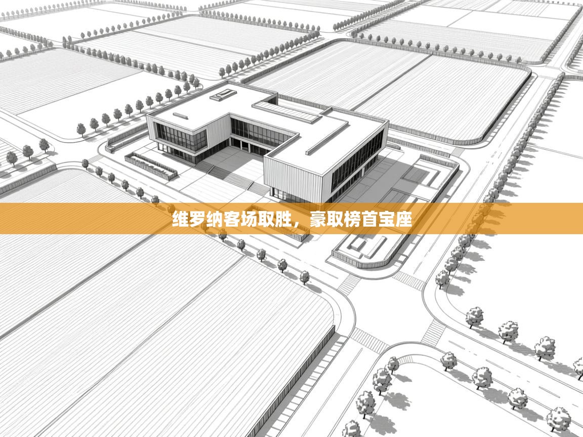 维罗纳客场取胜，豪取榜首宝座